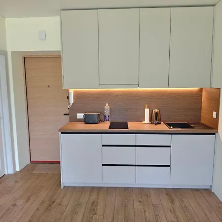 Nt Zitkus Apartamentai Апартаменты